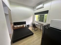 Thomson Park (D20), Terrace #576485591